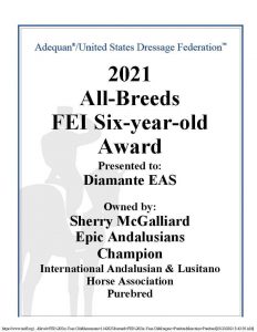 IALHA All Breeds FEI Six Years old Award