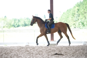 Second Dressage Clinic at Tres Lagos Ranch